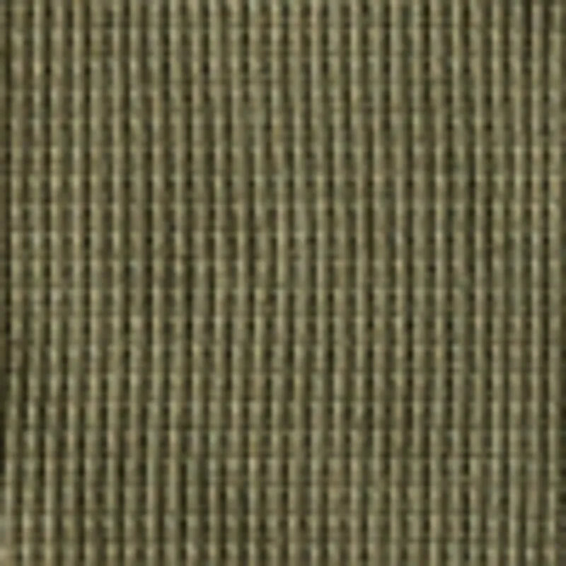 Olive Night