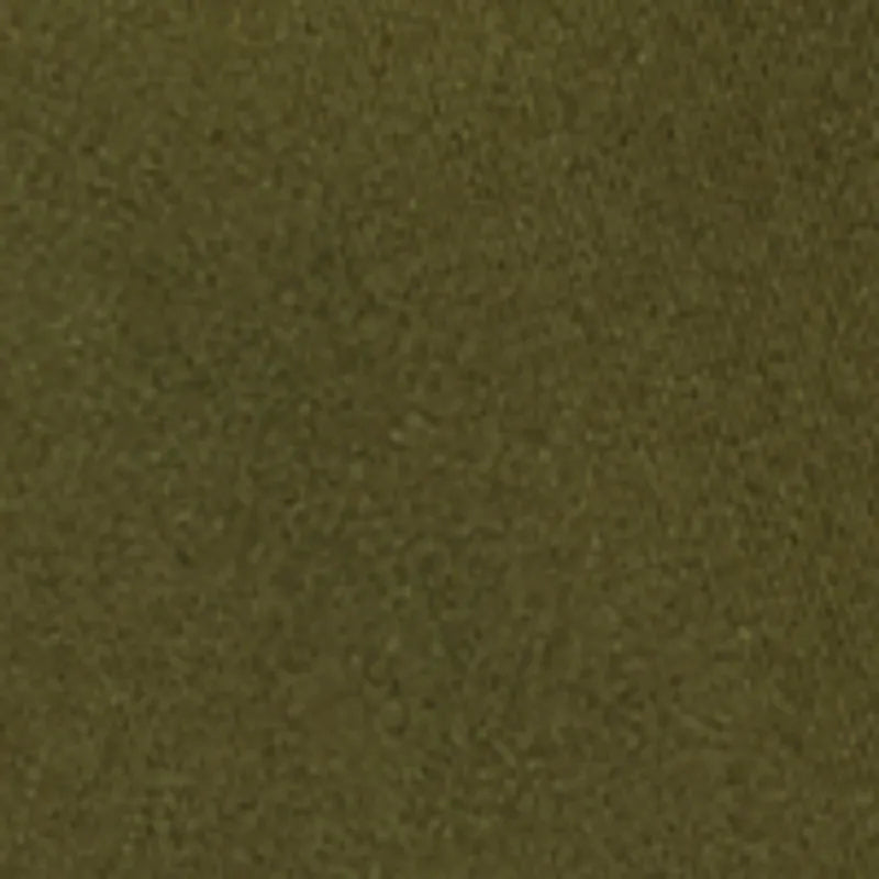 Olive Night