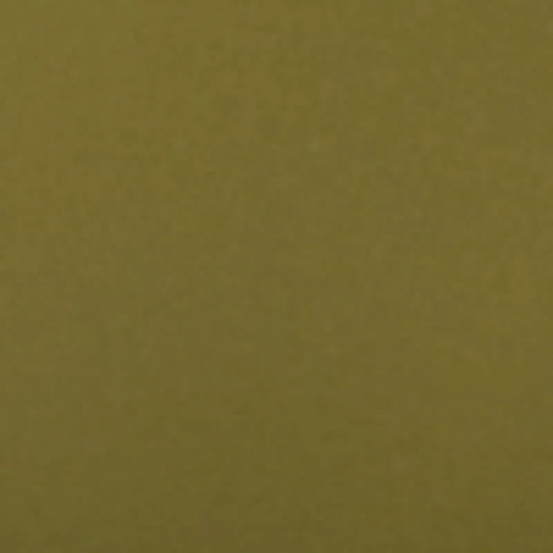 Olive Night