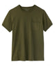 Olive Night