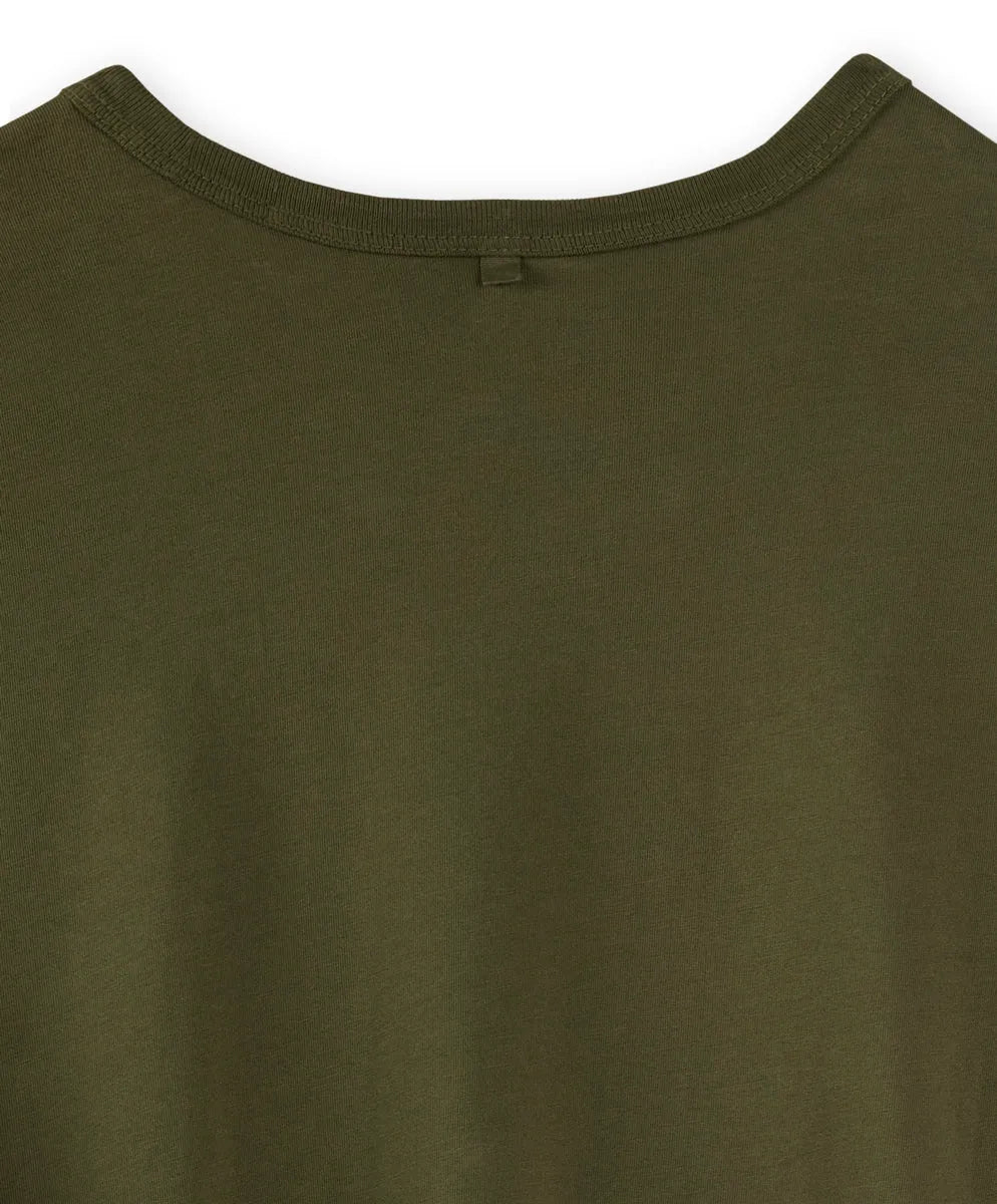 Olive Night