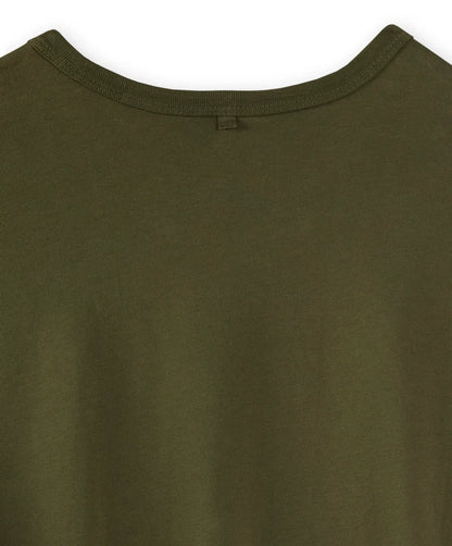 Olive Night