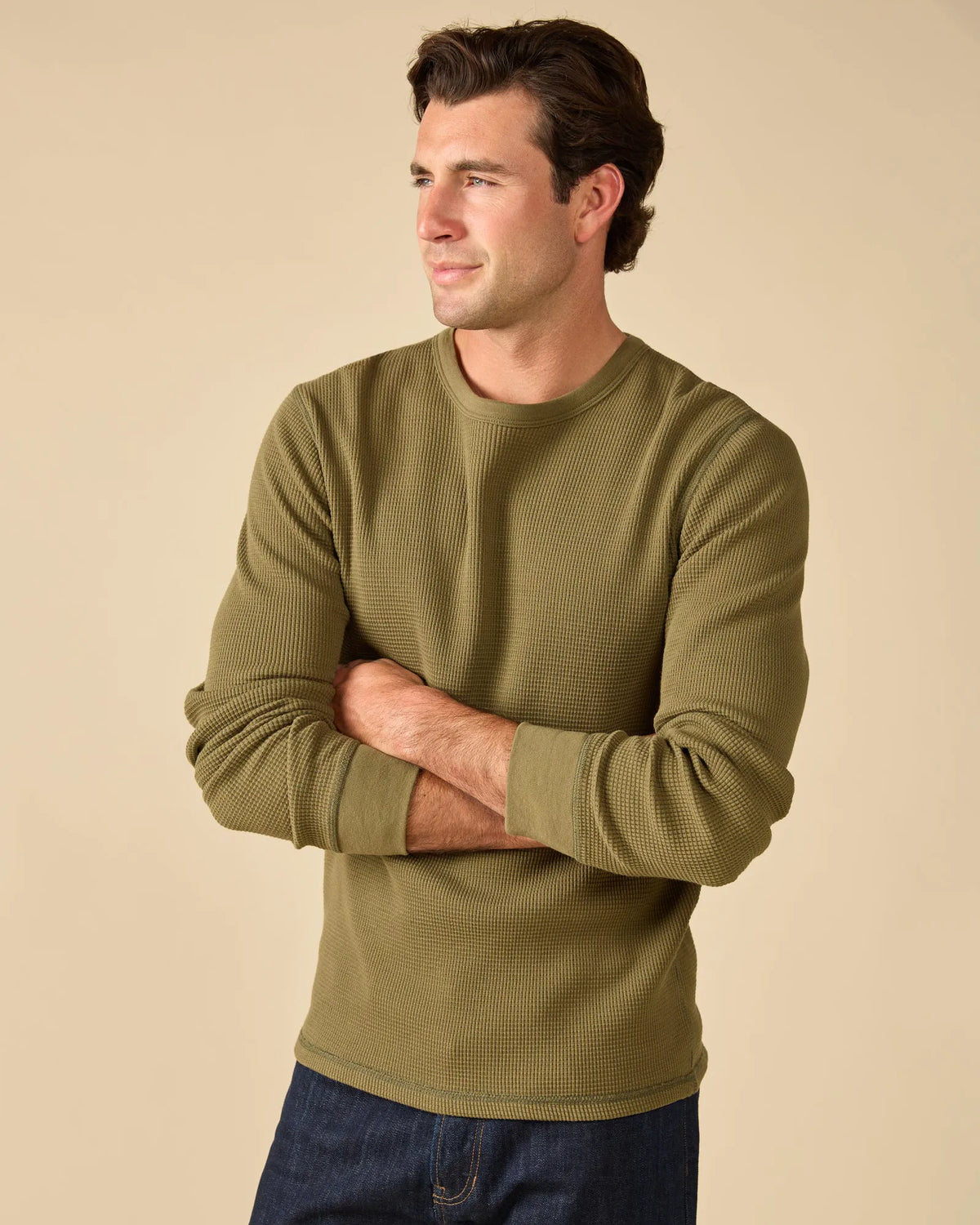 Olive Night
