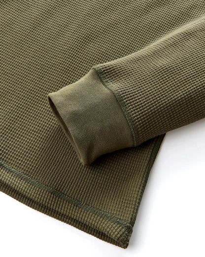 Olive Night