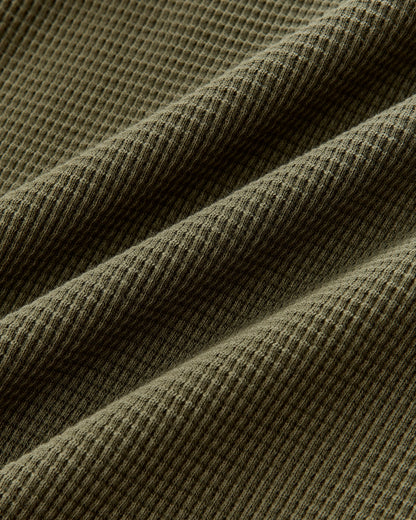 Olive Night
