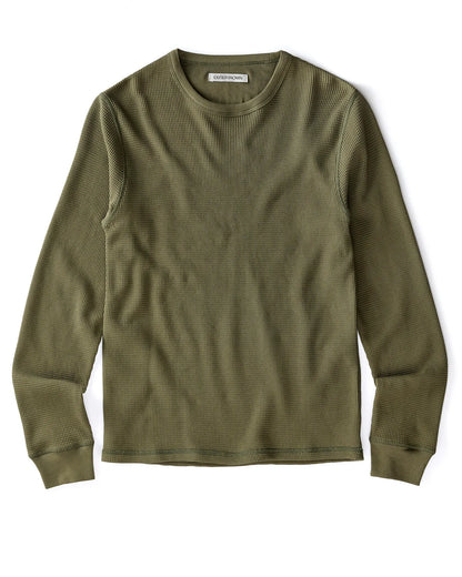 Olive Night