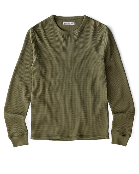 Olive Night