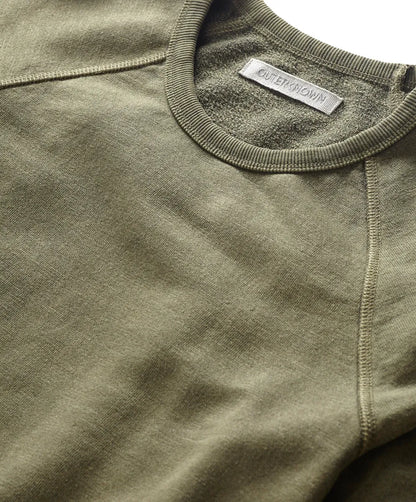 Olive Branch