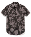 Pitch Black Botanica