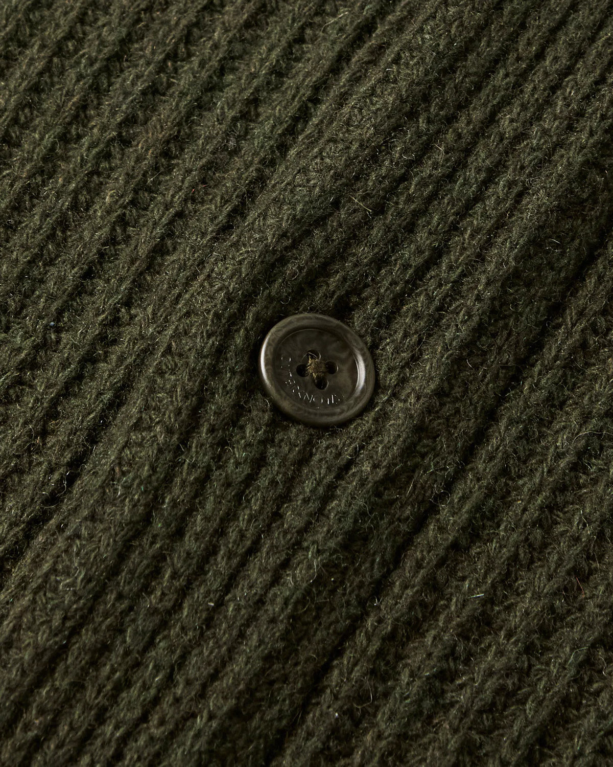 Olive Night