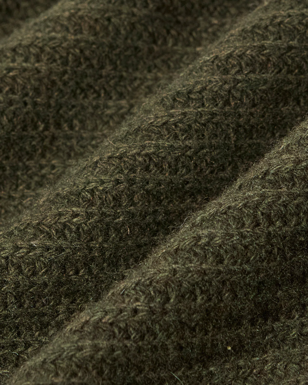 Olive Night