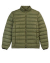 Deep Olive