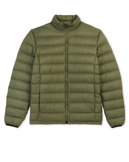 Deep Olive