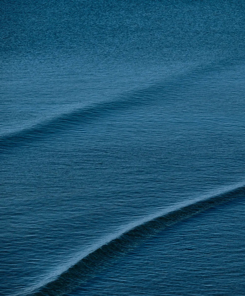 Indigo Selvedge