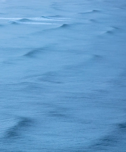Apex Trunks by Kelly Slater - Outerworn