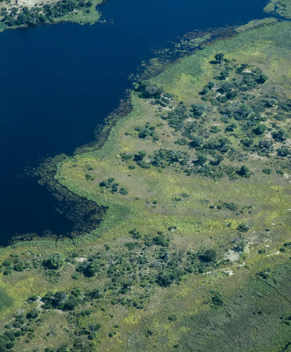 Faded Olive Essex Plaid