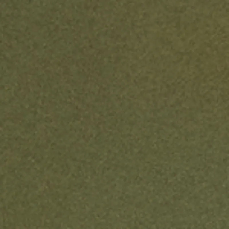 Olive Night