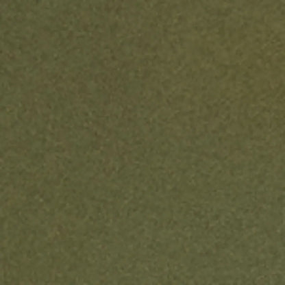 Olive Night
