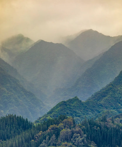 Deep Forest