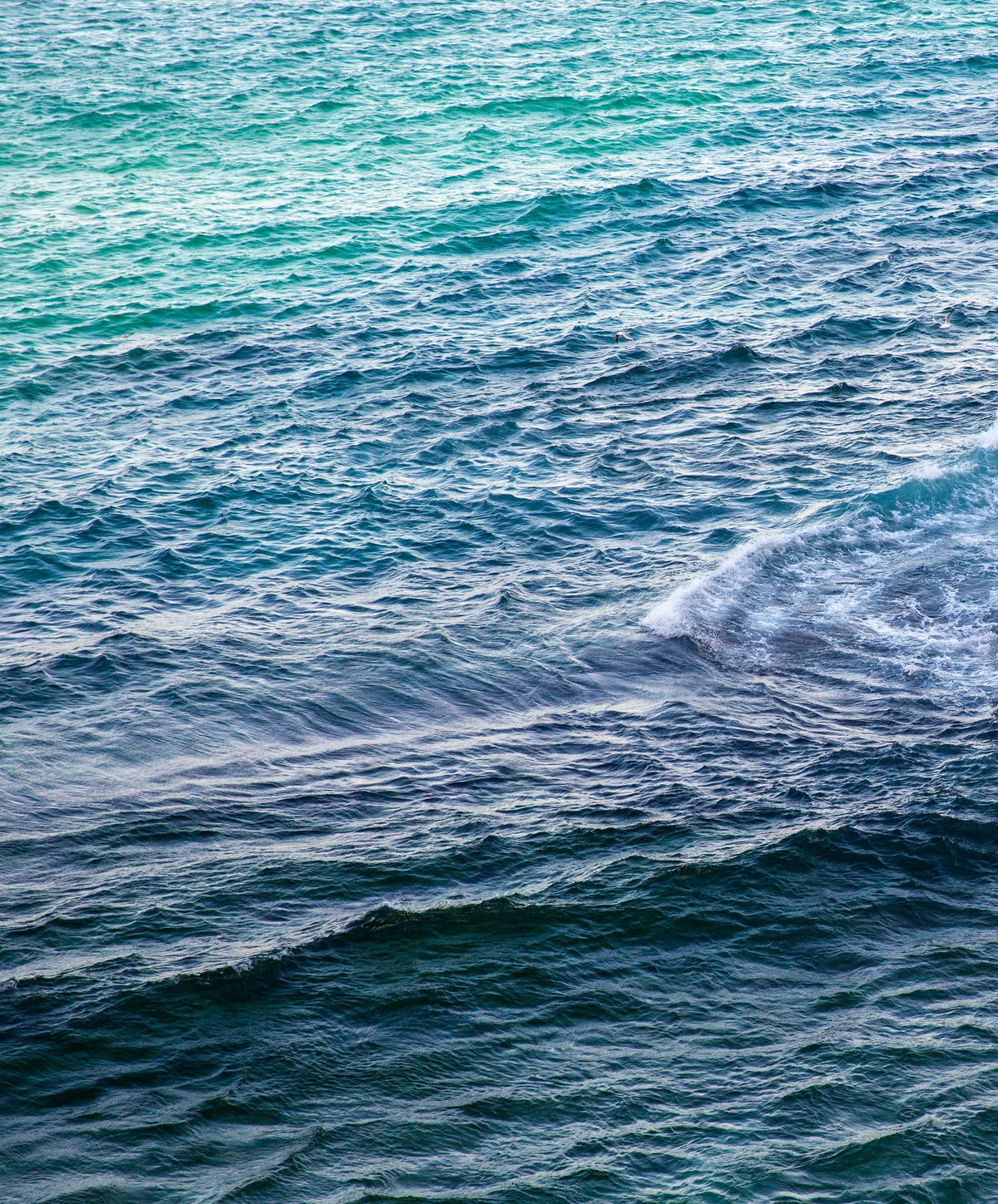 Faded Indigo