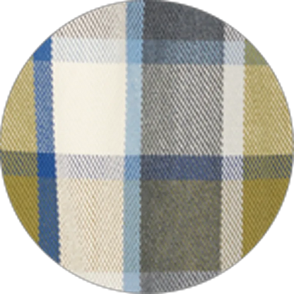 Cactus Hermosa Plaid