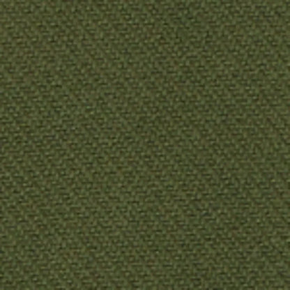 Olive Night