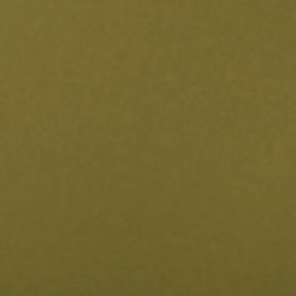 Olive Night