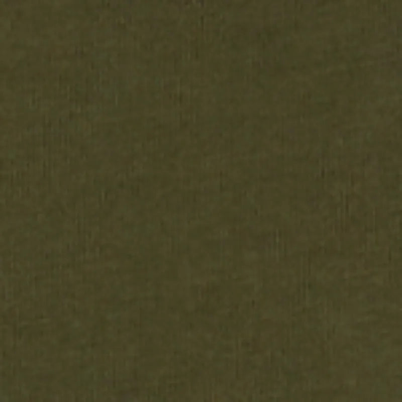 Olive Night