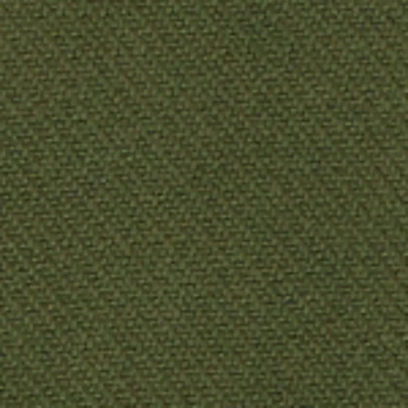 Olive Night