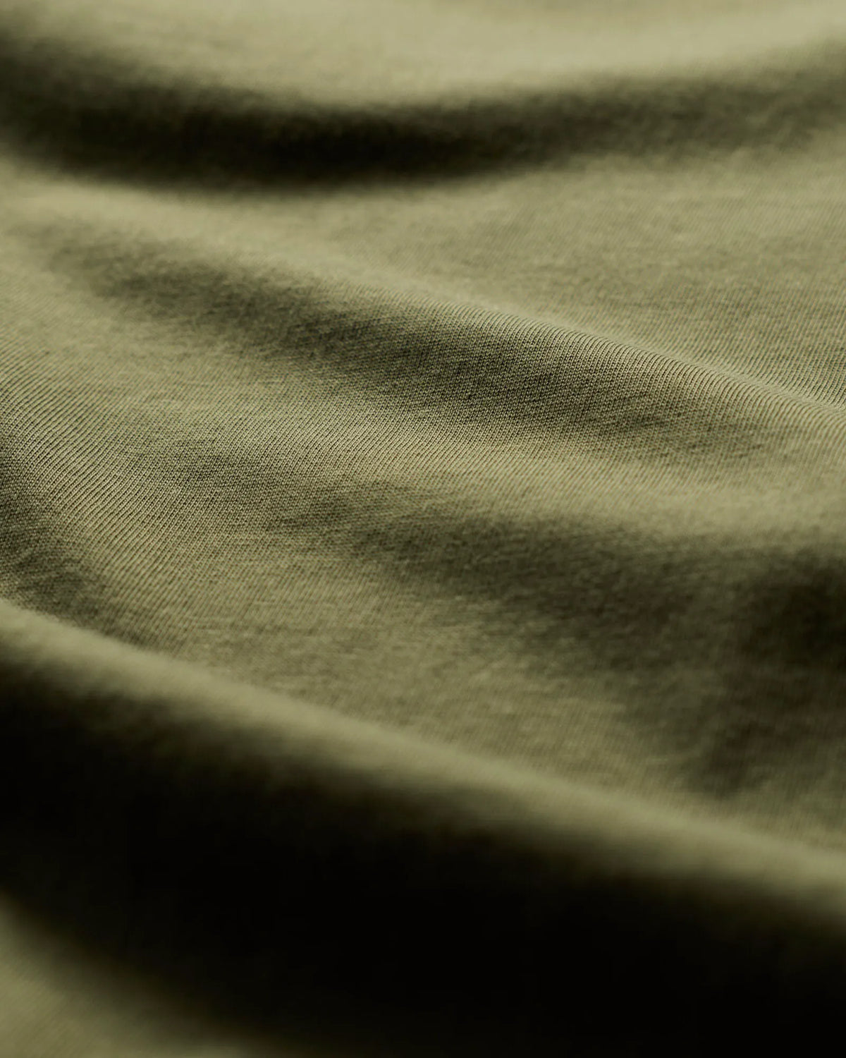 Olive Night