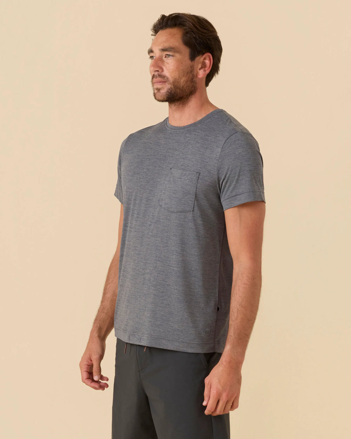 Dolphin Grey