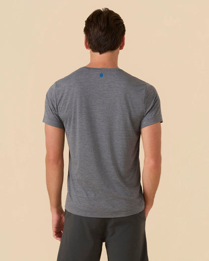 Dolphin Grey