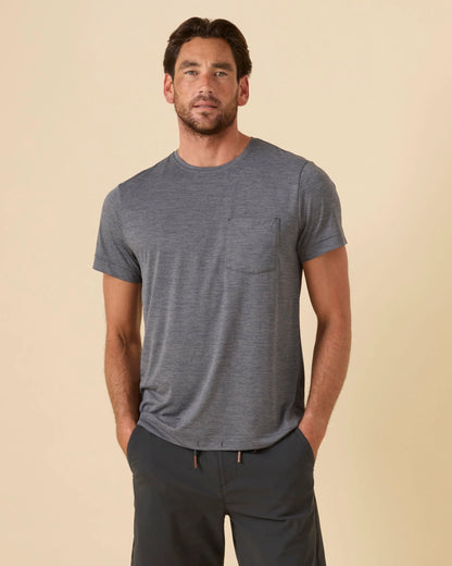 Dolphin Grey