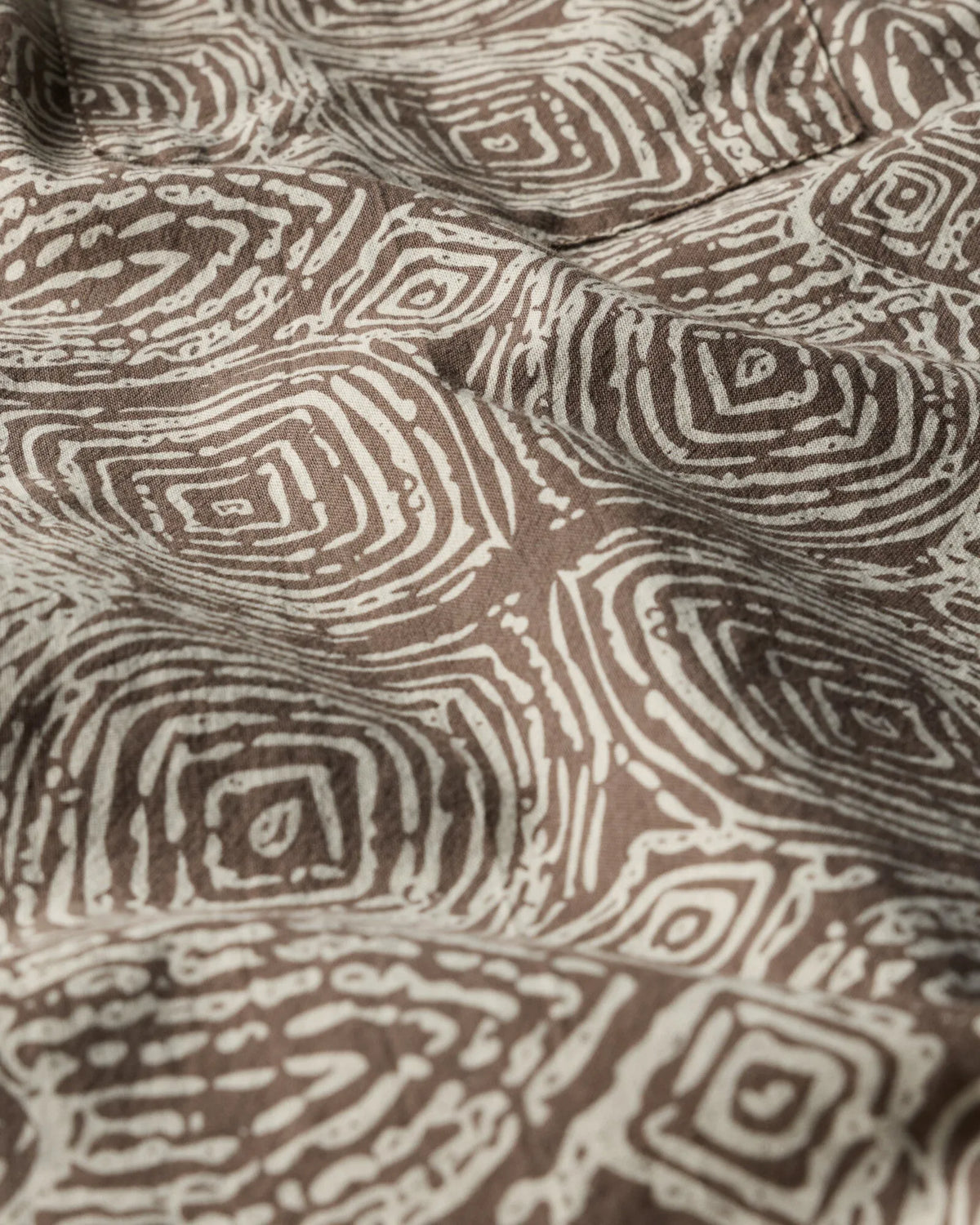 Kelp Bloom Ripples
