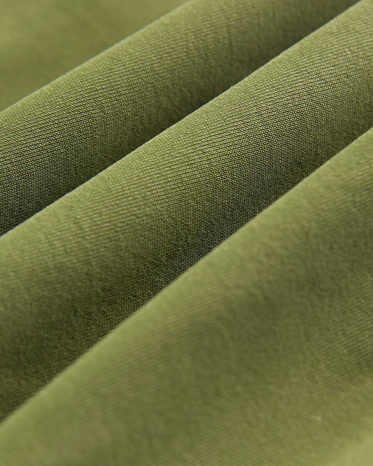 Olive Night