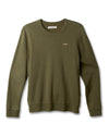 Olive Night