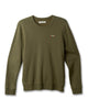 Olive Night