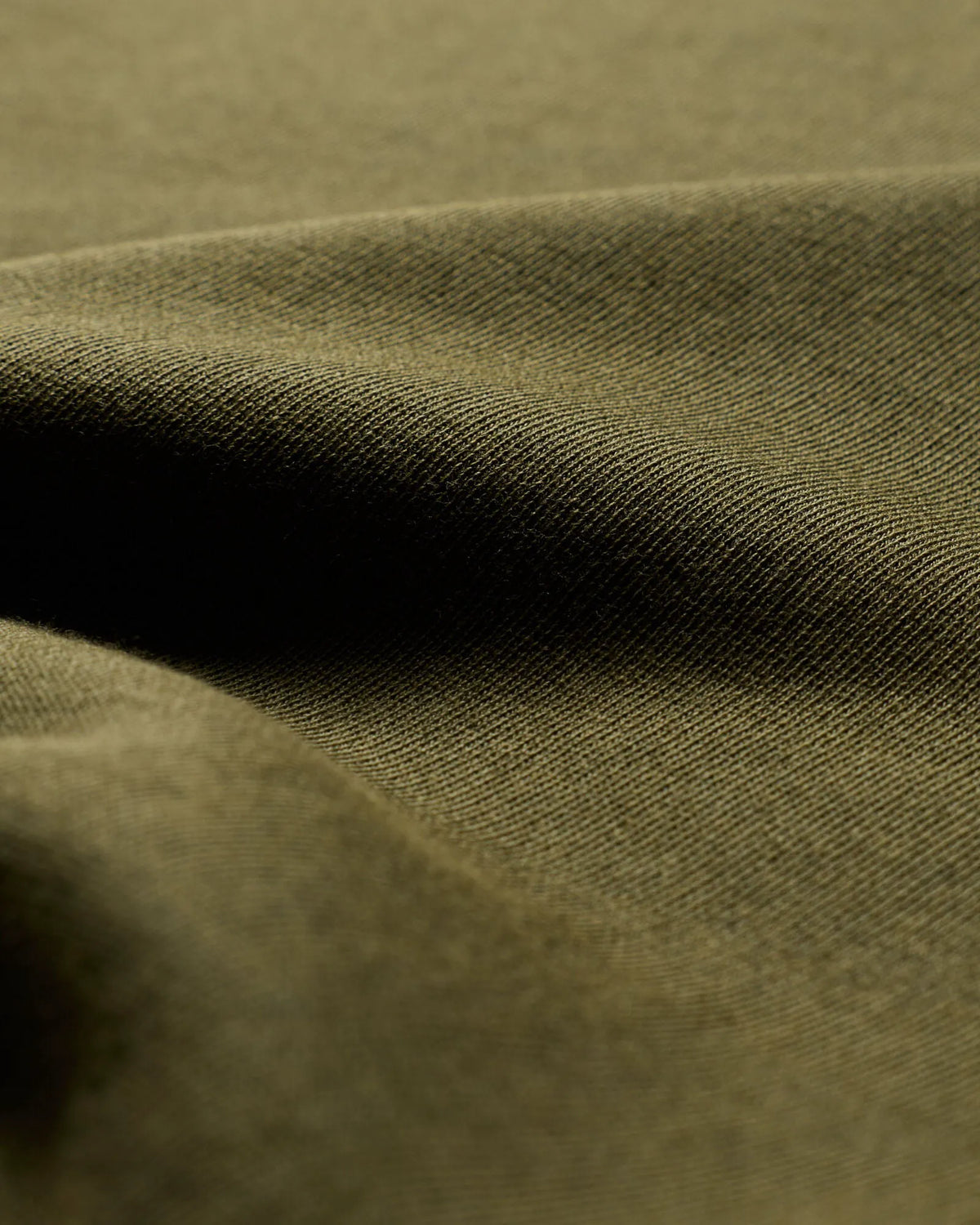 Olive Night
