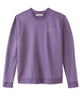 Purple Aster