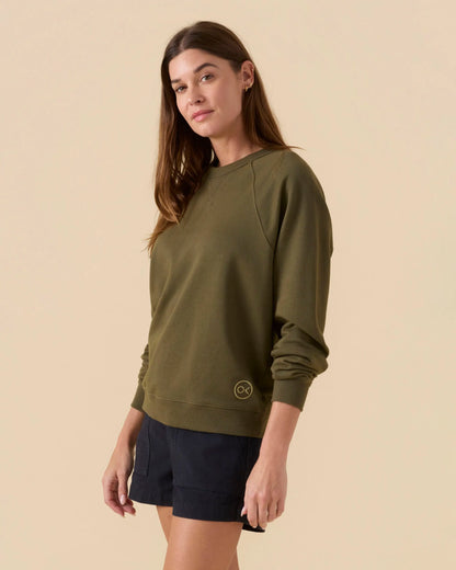 Olive Night