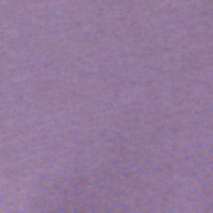 Purple Aster