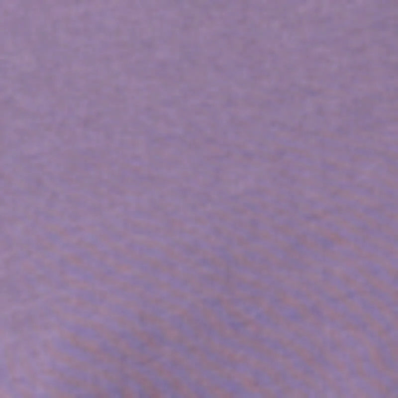 Purple Aster