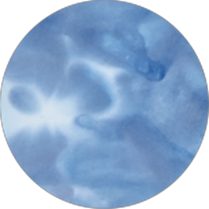 True Blue